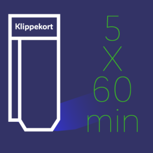 Klippekort til 5 x 60 min. undervisning/support