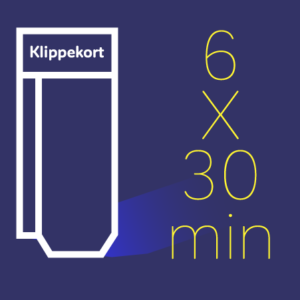Klippekort til 6 x 30 min. undervisning/support